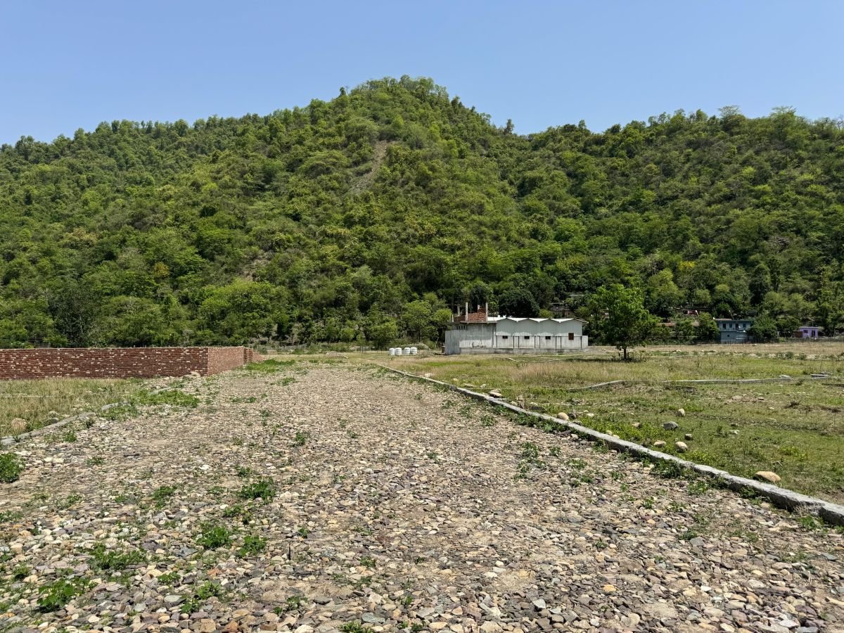 10 bigha completed in Thano green Vally